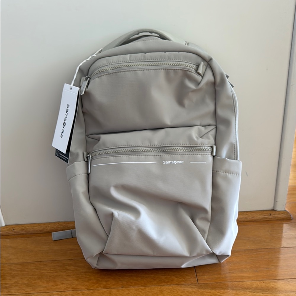Samsonite Gray Backpack